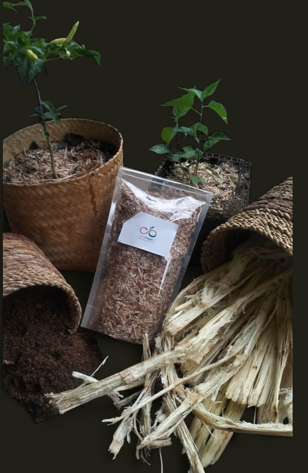 whatsapp image 2025 05 30 at 17.14.40 (2)