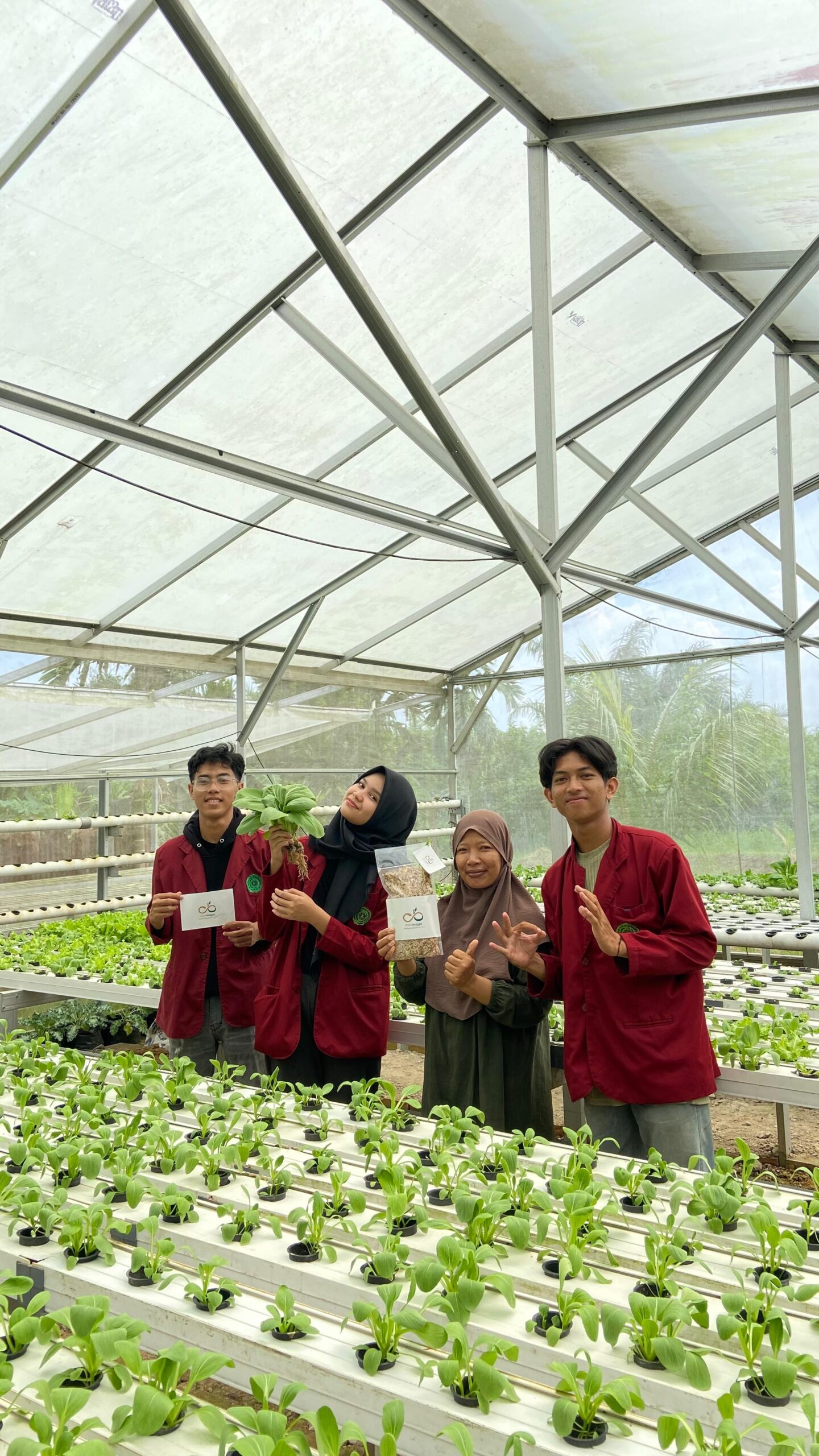 whatsapp image 2025 05 31 at 13.01.03