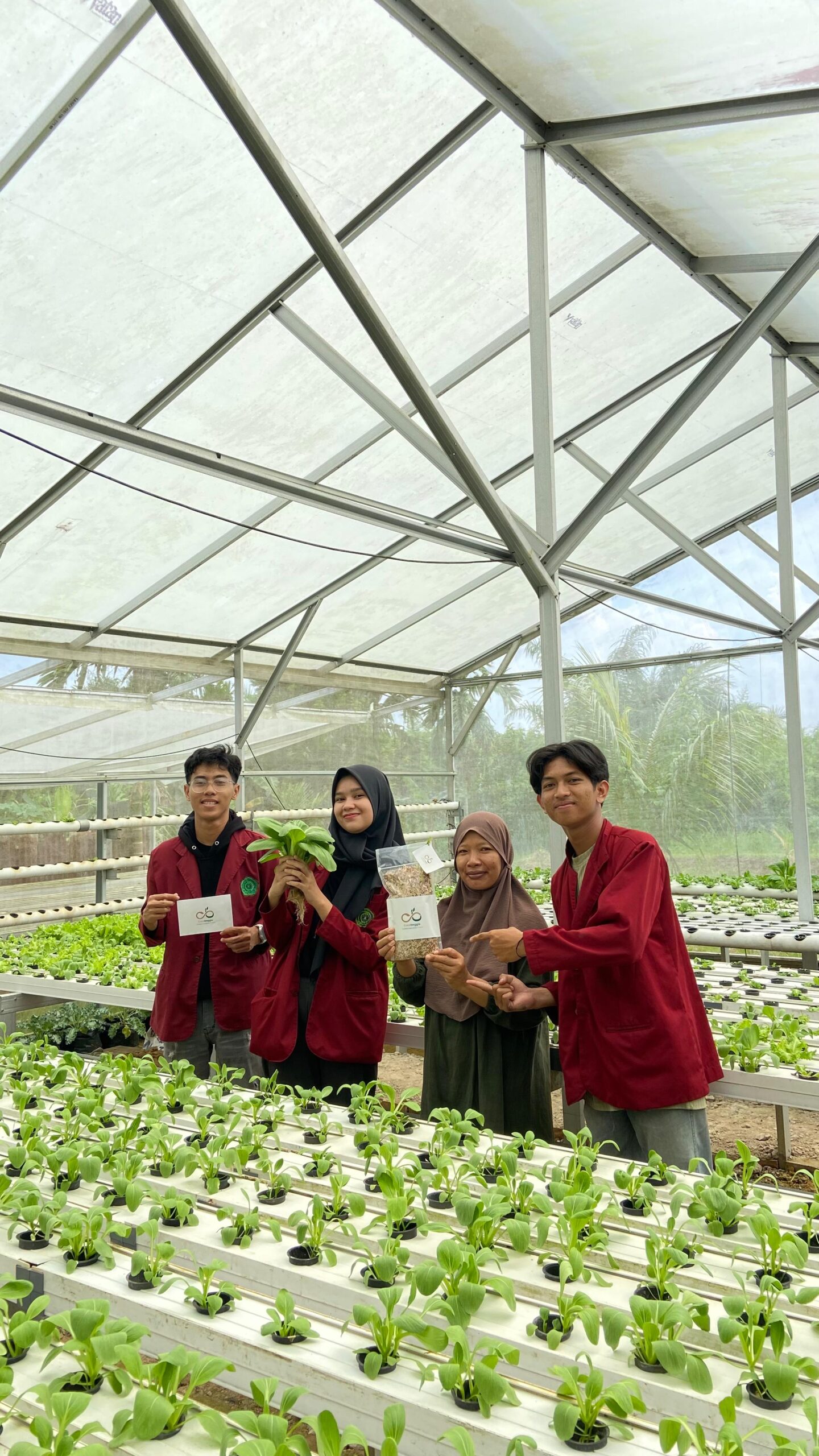 whatsapp image 2025 05 31 at 13.01.05