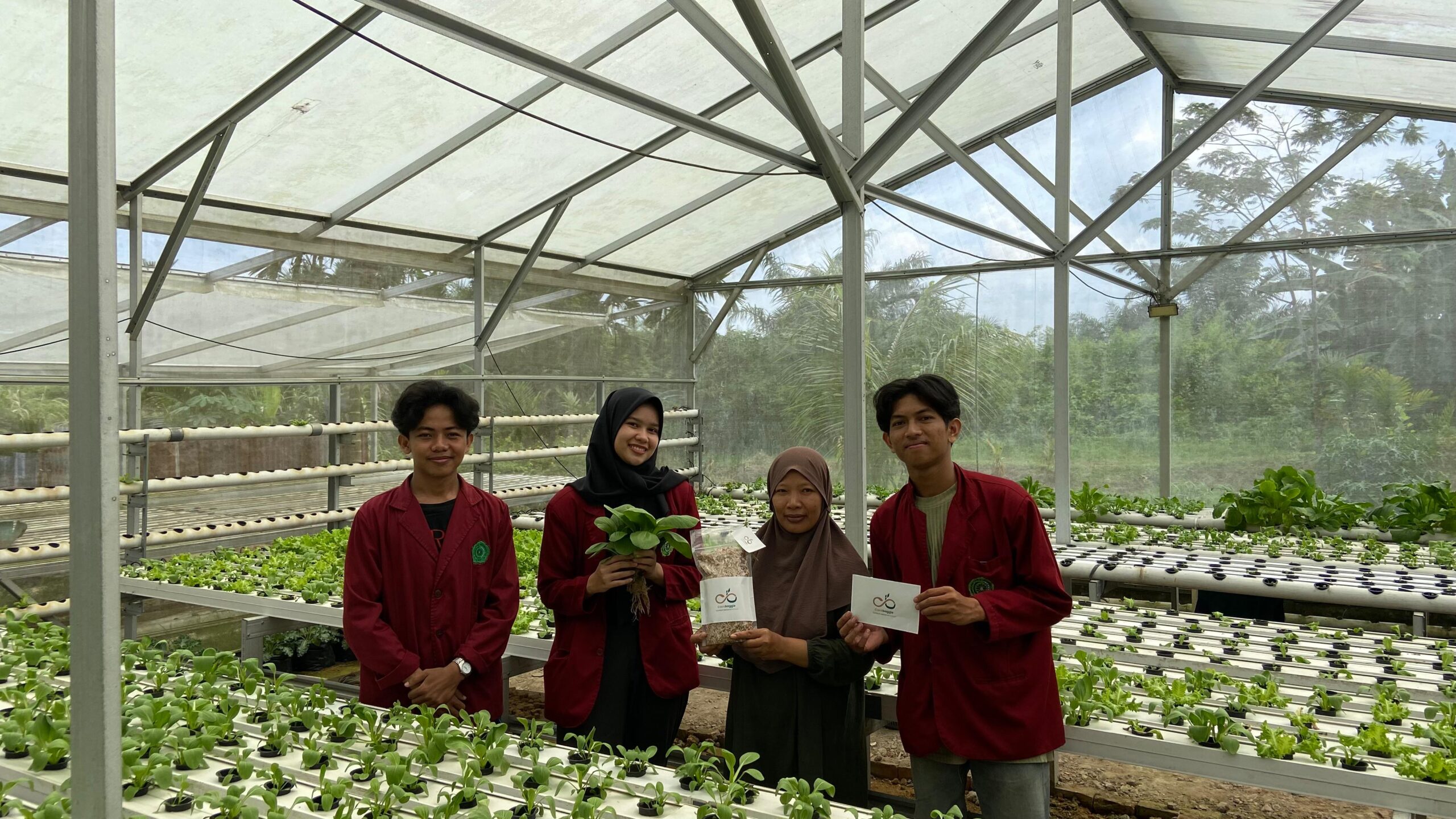 whatsapp image 2025 05 31 at 13.01.06